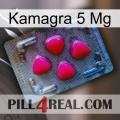 Kamagra 5 Mg 13